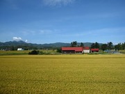 画像(180x135)・拡大画像(640x480)