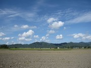 画像(180x135)・拡大画像(640x480)