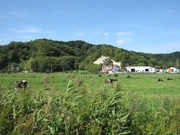 画像(180x135)・拡大画像(640x480)