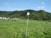 画像(180x135)・拡大画像(640x480)