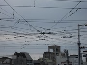 画像(180x135)・拡大画像(640x480)