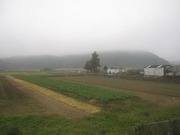 画像(180x135)・拡大画像(640x480)