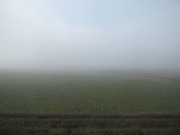 画像(180x135)・拡大画像(640x480)