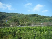 画像(180x135)・拡大画像(640x480)