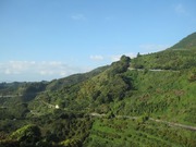 バースデイきっぷで行く四国テツタビ〜最終日(予土線・内子線)