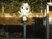 画像(180x135)・拡大画像(640x480)