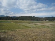 画像(180x135)・拡大画像(640x480)