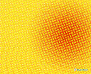 画像(180x147)・拡大画像(639x523)