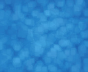 画像(180x147)・拡大画像(639x523)