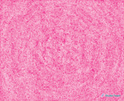 画像(180x147)・拡大画像(639x523)