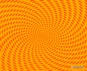 画像(180x147)・拡大画像(639x523)