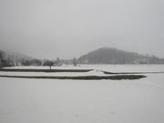 画像(180x135)・拡大画像(640x480)