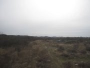 画像(180x135)・拡大画像(640x480)