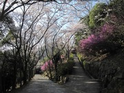 画像(180x135)・拡大画像(640x480)