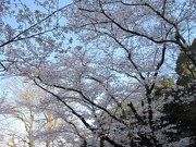 画像(180x135)・拡大画像(640x480)