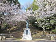 画像(180x135)・拡大画像(640x480)