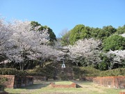 画像(180x135)・拡大画像(640x480)