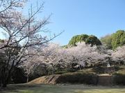 画像(180x135)・拡大画像(640x480)