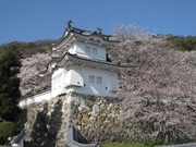 龍野公園の桜2010