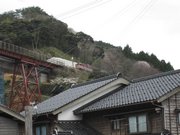 画像(180x135)・拡大画像(640x480)