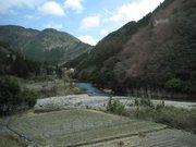 画像(180x135)・拡大画像(640x480)