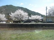 画像(180x135)・拡大画像(640x480)