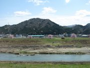 画像(180x135)・拡大画像(640x480)