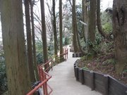 画像(180x135)・拡大画像(640x480)