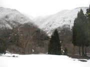 画像(180x135)・拡大画像(640x480)