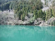 画像(180x135)・拡大画像(640x480)