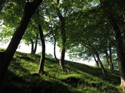 画像(180x135)・拡大画像(640x480)