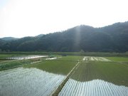 画像(180x135)・拡大画像(640x480)