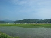 画像(180x135)・拡大画像(640x480)