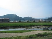 画像(180x135)・拡大画像(640x480)