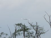 画像(180x135)・拡大画像(1024x768)