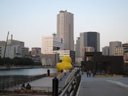 堂島川に浮かぶ「アレ」を見に中之島へ