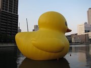 画像(180x135)・拡大画像(1024x768)