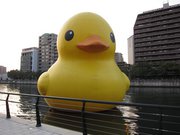 画像(180x135)・拡大画像(1024x768)