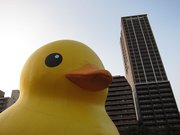 画像(180x135)・拡大画像(1024x768)