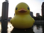 画像(180x135)・拡大画像(1024x768)