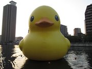 画像(180x135)・拡大画像(1024x768)