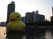 画像(180x135)・拡大画像(1024x768)