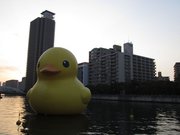 画像(180x135)・拡大画像(1024x768)