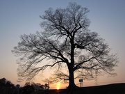 画像(180x135)・拡大画像(1024x768)