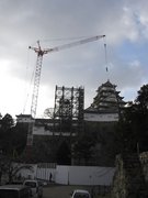 画像(135x180)・拡大画像(768x1024)