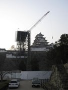 画像(135x180)・拡大画像(768x1024)