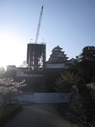 画像(135x180)・拡大画像(768x1024)