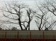 画像(180x134)・拡大画像(1024x765)