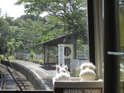 画像(180x135)・拡大画像(1024x768)