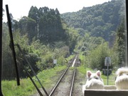 画像(180x135)・拡大画像(1024x768)